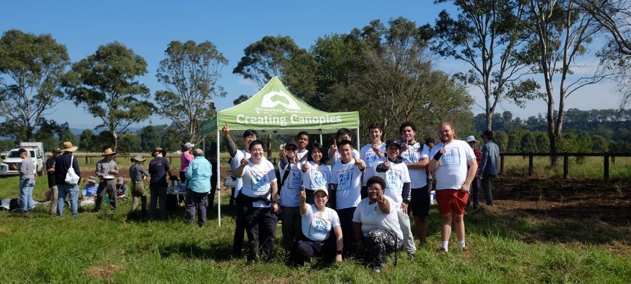 TREE PLANTING